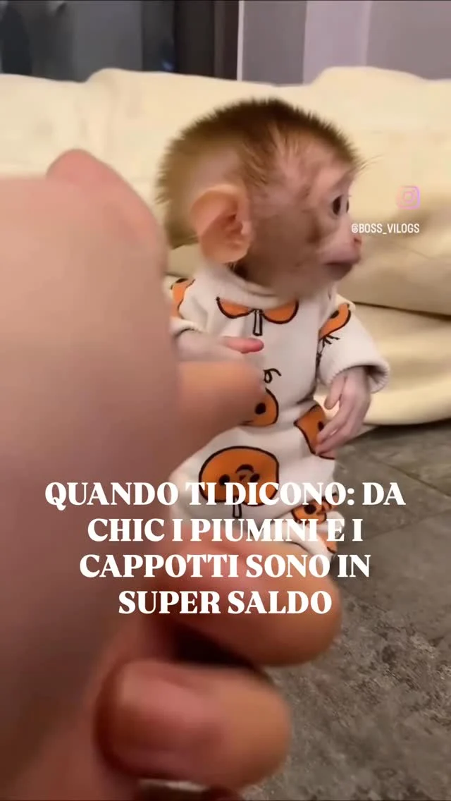 SOLO NELLA GIORNATA DI OGGI AMICHE ❤️‍🔥💣❤️‍🔥